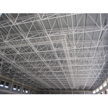 Large Size Swimming Pool Roof with Space Frame Structure